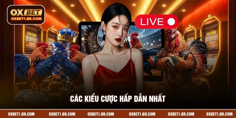 Các kiểu cược hấp dẫn nhất có tại nhà cái OXBET