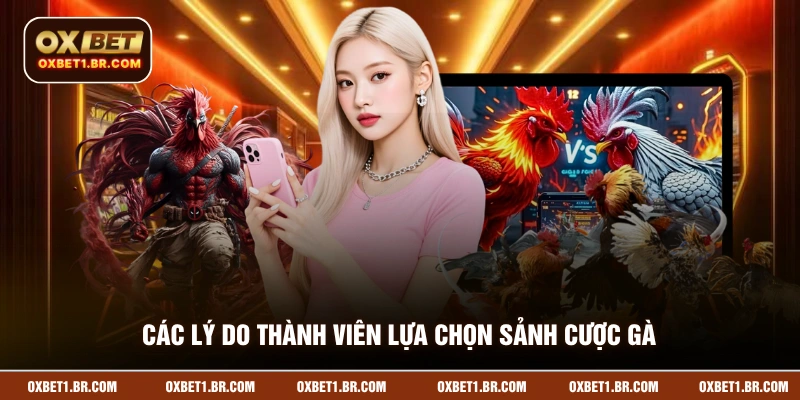 Các lý do thành viên lựa chọn sảnh cược gà