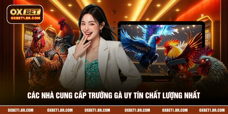 Các nhà cung cấp trường gà uy tín chất lượng nhất