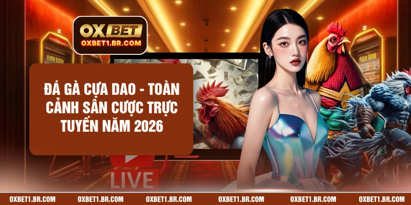 Đá Gà Cựa Dao - Toàn Cảnh Sân Cược Trực Tuyến Năm 2026