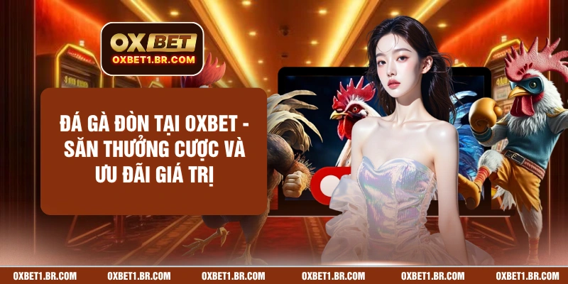 Đá Gà Đòn Tại OXBET - Săn Thưởng Cược Và Ưu Đãi Giá Trị