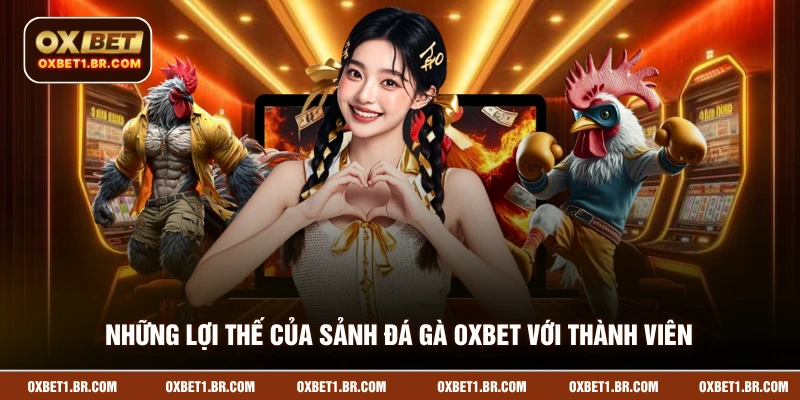 Những lợi thế của sảnh đá gà OXBET với thành viên