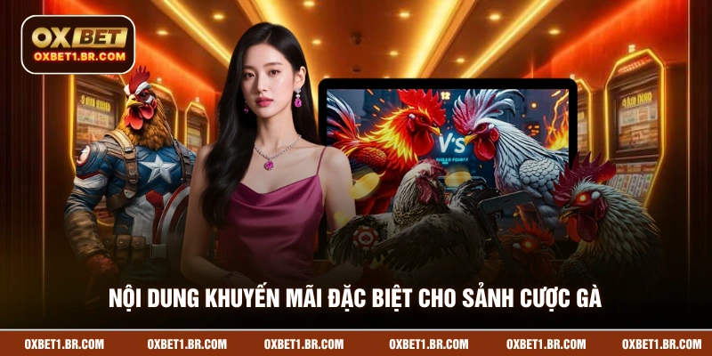 Nội dung khuyến mãi đặc biệt cho sảnh cược gà